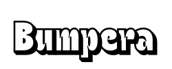 Bumpera - logo